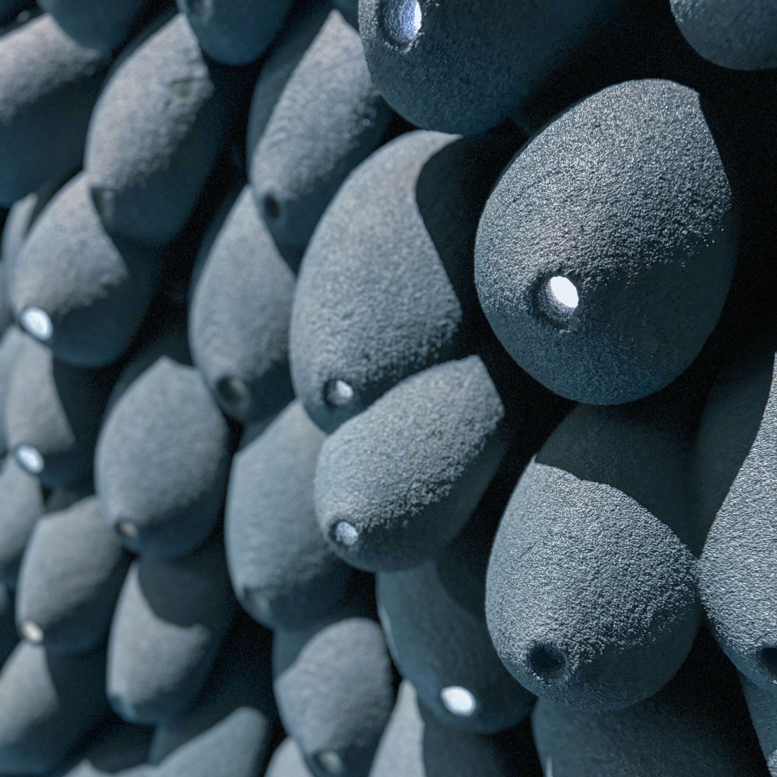 wall