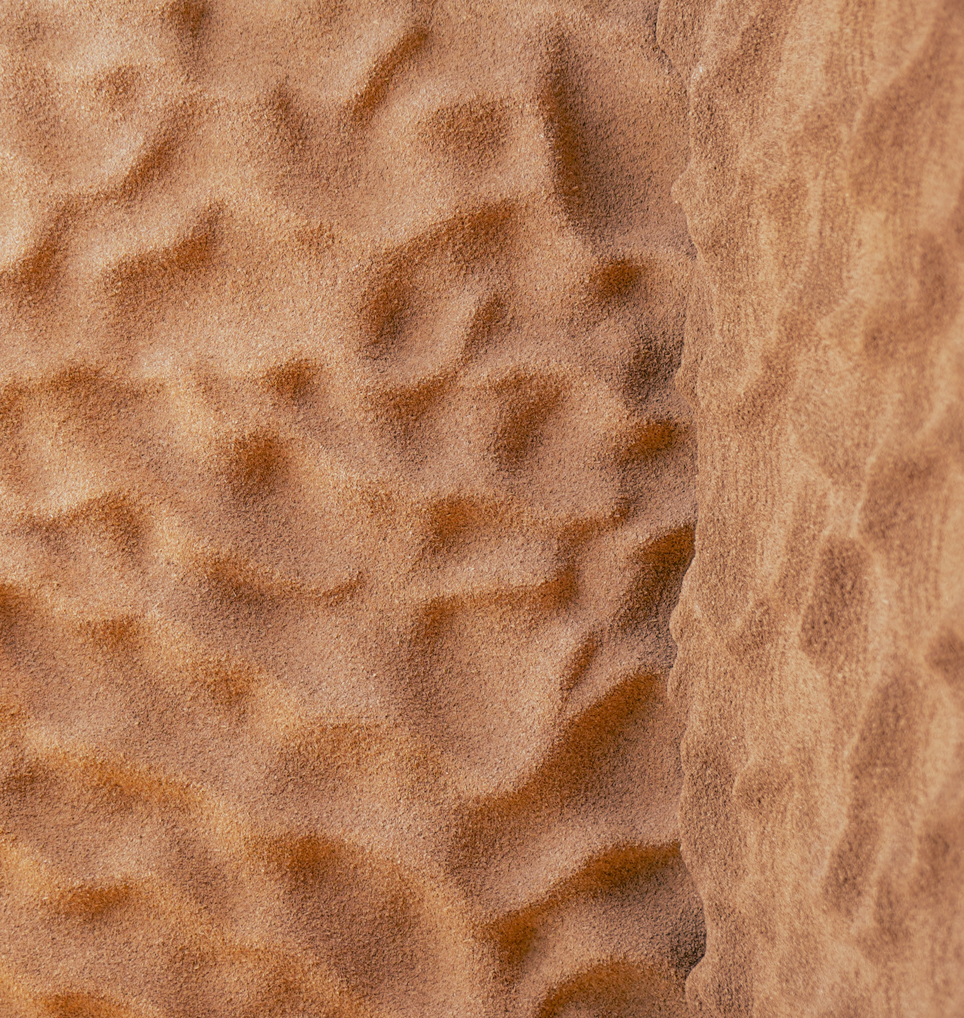 Coral Texture