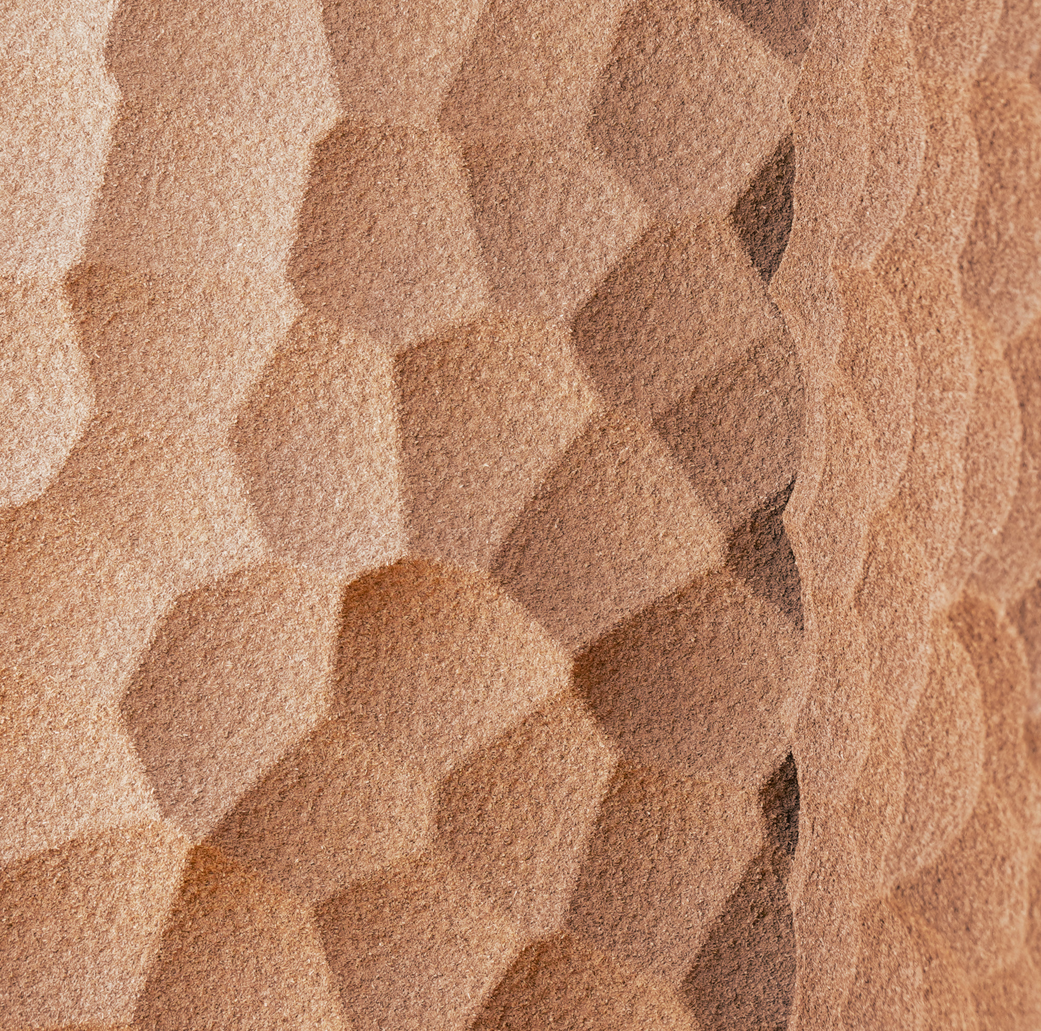 Coral Texture