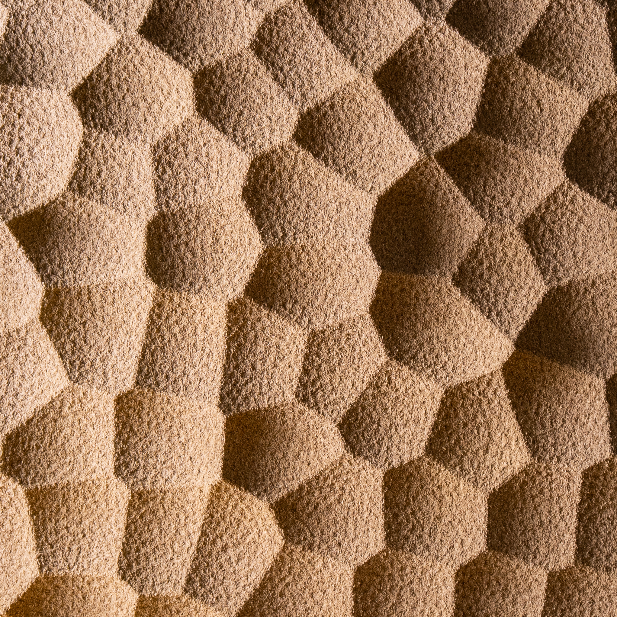 Hive