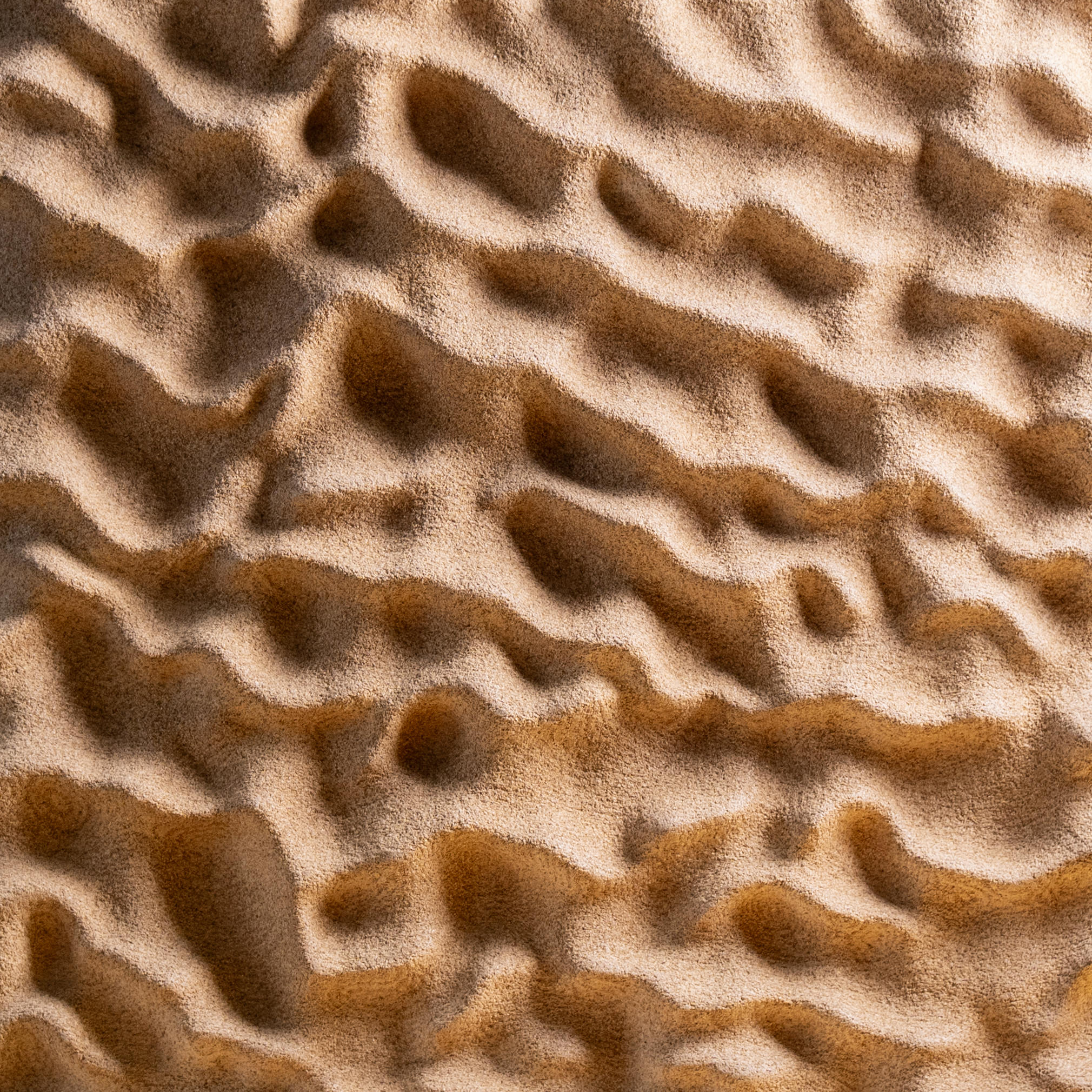 Corals