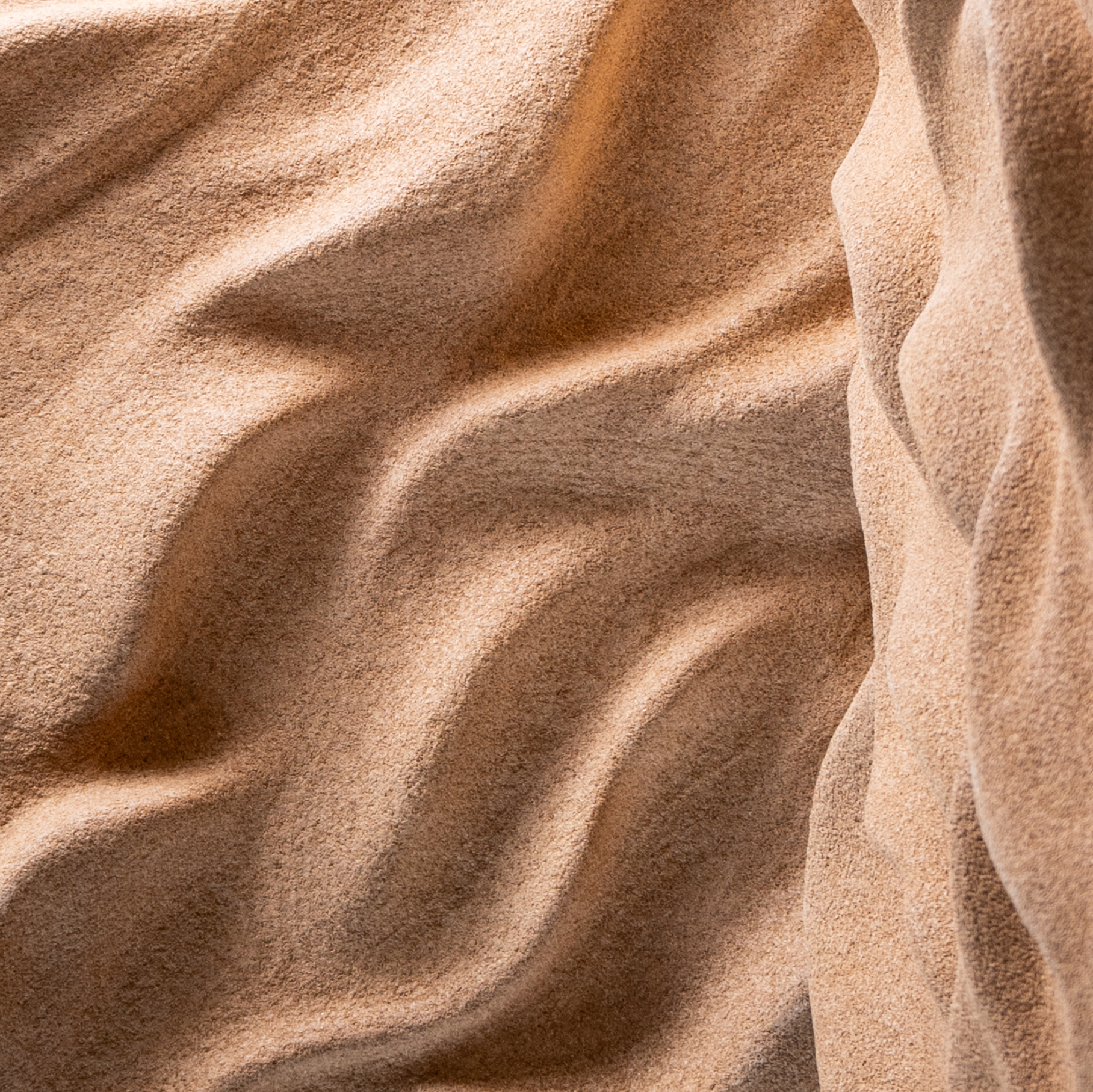 Coral Texture